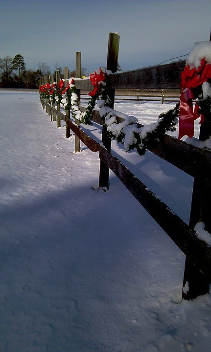 Horse Barn Christmas Decorations, Fence Christmas Decorating Ideas, Christmas Gate Decorations Outdoor, Christmas Oklahoma, Farm Christmas Decorations, Farm Christmas Decor, Christmas On The Farm, Christmas Lounge, Farm Light