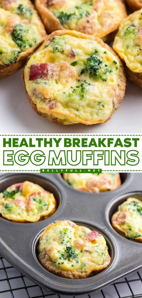 Turn to this muffin tin recipe for an easy breakfast on the go! These baked eggs in muffin tins are the perfect back to school food. Not only are these healthy Breakfast Egg Muffins high-protein, low-carb, gluten-free, and keto-friendly, but they are also delicious! Healthy Muffin Tin Breakfast Recipes, Protein Cups Breakfast, Breakfast Muffins No Egg, Healthy Low Carb Breakfast On The Go, Make Ahead Egg Cups Muffin Tins, Muffins For Runners, Egg Bits In Muffin Tin Healthy, Omelette Muffins Breakfast, Gluten Free Egg Muffin Cups