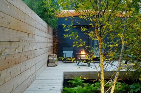 An Urban Retreat on a Small Lot in Downtown Toronto Small Urban Backyard, Yard Trees, Lodges Design, Lodge Design, Wood Fences, Urban Backyard, Modern Outdoor Spaces, Urban Retreat, Toronto Ontario Canada