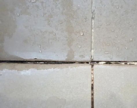 How To Regrout Tiles Without Removing Old Grout How To Replace Grout In Tile, How To Fill In Missing Grout, How To Regrout Tile Backsplash, How To Re Grout Tile Floors, Regrouting Tile Kitchens, How To Apply Grout To Tile, Re Grouting Tile Showers, How To Regrout Shower Tile, Thick Grout Lines