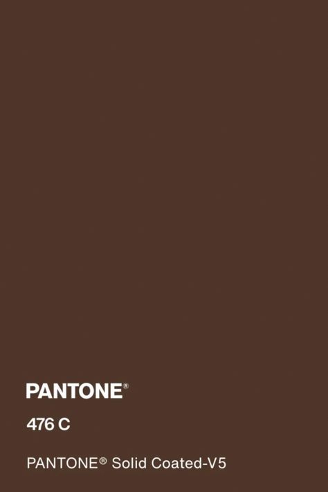 #pantone #pantone476c #brown #color Brown Swatch, Pantone Brown, Brown Homescreen, Blue Sky Images, Brown Pantone, Brown Icons, Decorate Room, Puff Quilt, Orange Color Palettes