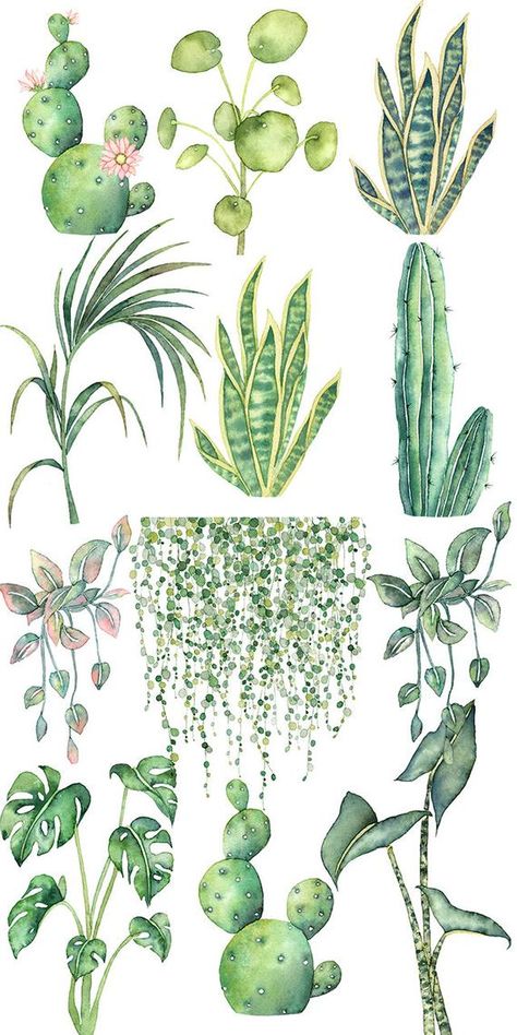 Boho Plants, Cactus Clipart, Watercolor Boho, Illustration Botanique, Watercolor Cactus, Watercolor Plants, Plant Painting, Monstera Plant, Plant Drawing