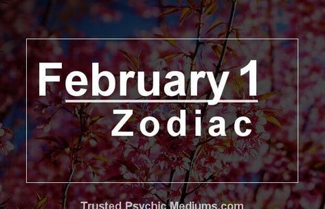 February 1 Zodiac Feb Zodiac Sign, What Are Zodiac Signs, Gemini Zodiac Tattoos, Aquarius Pisces Cusp, February Zodiac, Birthday Personality, Birthday Horoscope, Free Daily Horoscopes, Personality Profile