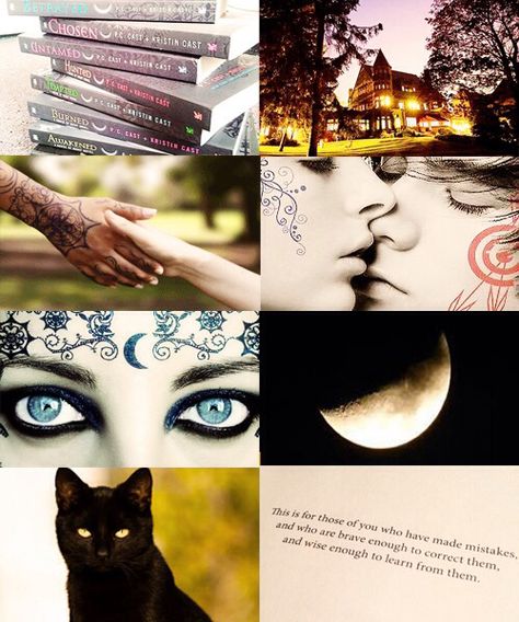 House of Night House Of Night Aesthetic, House Of Night Fan Art, Zoey Redbird, House Of Night Books, I Love Yoo Webtoon, Night Tattoo, House Of Night, House Night, Bookshelf Inspiration