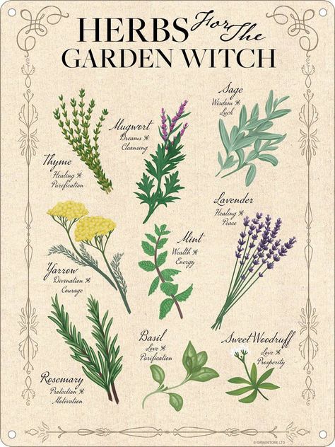 Herbs For The Garden Witch Mini Tin Sign - Wicked Witcheries Garden Witch, The Garden, Witch, Tin, Herbs, Gifts