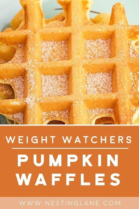 Weight Watchers Pumpkin Waffles Recipe. Fall is the time of year when pumpkin spice flavored everything comes out to make our mornings a little more delicious. Perfect for breakfast on chilly fall mornings, or even as an afternoon pick me up with some coffee. Made from scratch with flour, nutmeg, cinnamon, ginger, canola oil, canned pumpkin, molasses, buttermilk, egg, and Splenda. This quick and easy breakfast, or brunch is ready in 20 minutes. MyWW Points: 5 Green Plan, 5 Smart Points. Pumpkin Waffles Healthy, Breakfast Quick And Easy, Vegan Pumpkin Soup Recipe, Pumpkin Waffles Recipe, Weight Watchers Pumpkin, Vegan Pumpkin Soup, Breakfast Quick, Pumpkin Pancake Recipe, Healthy Waffles