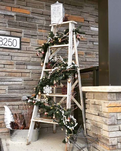 Ladder Christmas Tree Ideas, Ladder Christmas Decor, Christmas Ladders Ideas, Exterior Christmas Decorations, Ladder Christmas Tree, Christmas Ladder, Ladder Ideas, Xmas Deco, Unique Christmas Trees