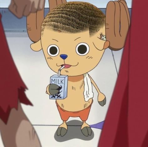 One Piece Drip, Luffy Drip, Chopper Pfp, One Piece Chopper, Hi Welcome To Chili's, One Piece Meme, Photoshop Pics, Funny Animal Photos, One Piece Funny