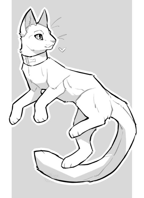 Warrior Cat Poses Drawing Reference, Cat Bases F2u, Cat Body Base, Cat Oc Base, Cat Fursona Base, Warrior Cats Drawing Base, Cat Base Drawing, Warrior Cats Oc Base, Cat Drawing Base