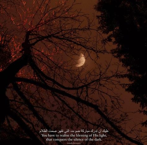 Islamic Profile, Islamic Sayings, Short Islamic Quotes, Ethereal Aesthetic, Night Sky Wallpaper, Beautiful Quran Verses, Muslim Love Quotes, Life Quotes Pictures, Hadith Quotes