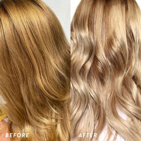 Sun In Hair Lightener Before And After, Tone Your Hair At Home, Tone Orange Hair, Tone Hair At Home, Ash Toner, Sun In Hair Lightener, Sun In Hair, Gold Blonde Hair, Dull Purple