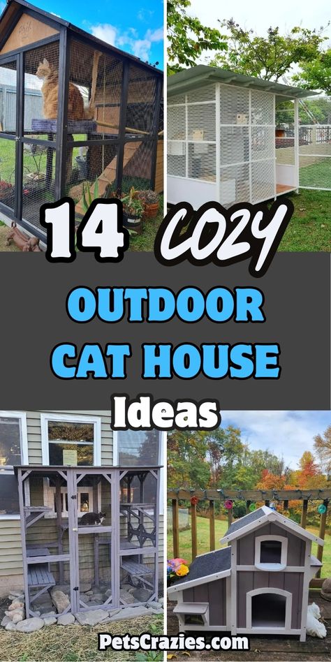 "Image features four cozy outdoor cat house ideas, each providing safe and comfortable spaces for cats. The text '14 Cozy Outdoor Cat House Ideas' is displayed prominently in bold fonts. Featured styles include weatherproof and multi-level enclosures designed for comfort and protection. The overall theme emphasizes functionality and coziness, ideal for pet owners looking to create secure outdoor areas for their cats." Cat Sanctuary Ideas Outdoor, Cat Porch Ideas, Tire Cat House Outdoor, Catios Ideas For Cats, Outdoor Cat Shelter Diy, Outdoor Cat House Diy, Diy Outdoor Cat House, Cat House Ideas, Outside Cat Enclosure