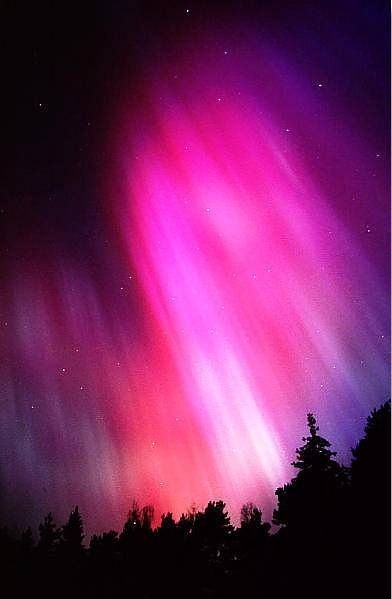 Pink Aurora Southern Lights, Northern Lights (aurora Borealis), Aurora Borealis Northern Lights, See The Northern Lights, Natural Art, The Aurora, To Infinity And Beyond, The Night Sky, Beautiful Sky