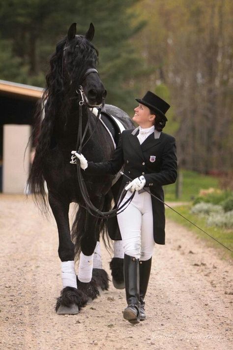 lorijoloveshorses:  Beautiful Friesian Casper,  Dressage Horse Friesian, Friesian Stallion, Horse Dressage, Black Horses, Most Beautiful Horses, Friesian Horse, Dressage Horses, Most Beautiful Animals, Majestic Horse