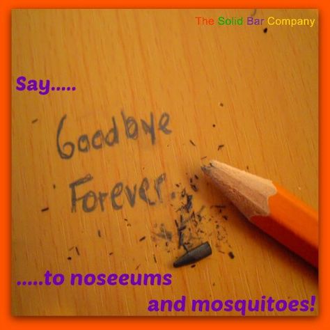 Say Hello To Our Awesome Bug Bars! #repellent #vegan #nodeet #atural #noseeum #mosquito #bmrtg #florida Walt Disney Quote, Birthday Quotes Bff, Good Goodbye, Goodbyes Are Not Forever, Goodbye Quotes, Disney Quote, Walt Disney Quotes, Hard To Say Goodbye, Stop Making Excuses