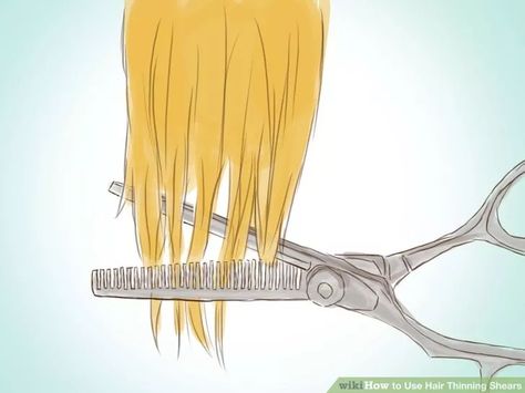 Image titled Use Hair Thinning Shears Step 9 Trim Your Own Hair, Colored Hair Tips, How To Cut Your Own Hair, Hair Shears, Thinning Shears, Diy Haircut, At Home Hair Color, Real Hair Wigs, Thinning Scissors