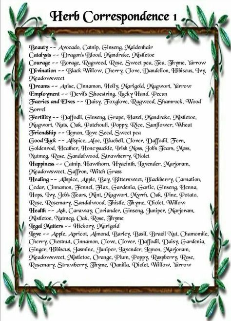 Herb Correspondence: Allspice, Apricot, Avocado, Catnip, Cinnamon, Daisy, Holly, Honeysuckle, Hyacinth, Sandalwood, Thistle, & Thyme to name a few. Pagan Correspondences, Herb Magic, Magickal Herbs, Witch Herbs, Broom Closet, Witch Garden, Magic Herbs, Kitchen Witchery, Magical Herbs