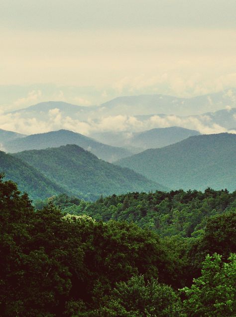 Nature Mountains Landscape, West Virginia Mountains Tattoo, Wv Mountain Tattoo, Appalachian Mountains Aesthetic, West Virginia Aesthetic, Inspirational Scenery, Picture Of Mountains, Wv Mountains, West Virginia Tattoo