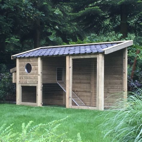 Small Backyard Chicken Coop, Reban Ayam, Backyard Chicken Coop, Cute Chicken Coops, Small Chicken Coops, Walk In Chicken Coop, Chicken Shed, Backyard Chicken Coop Plans, Diy Chicken Coop Plans