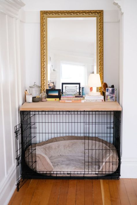 Post Image Dog Apartment Living, Dog Room Decor, Diy Dog Crate, Dog Storage, Apartment Dogs, Clever Dog, Crate Furniture, Optimize Space, Animal Room