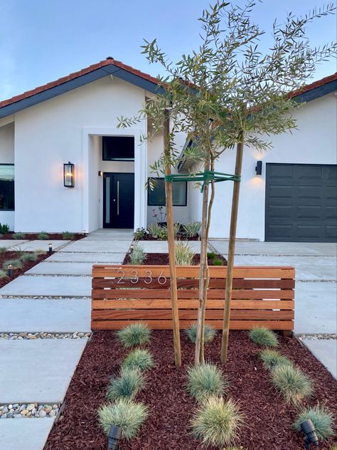 Split Driveway Landscaping, Budget Friendly Front Yard Ideas, Minimalist Landscape Front Yard, Southern California House Exterior, Modern Simple Landscaping, Mid Century Modern Landscaping Front Yard, Minimalist Yard Landscaping, Modern Drought Tolerant Landscape, Modern Xeriscape Front Yard