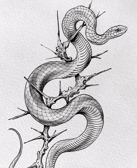 Blackwork Flash, Minimal Tattoo Designs, Minimal Tattoo Ideas, Snake Illustration, Snake Dragon, Occult Tattoo, Snake Drawing, Branch Tattoo, Snake Tattoo Design