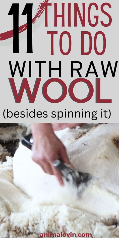 Wool Sheep Craft, Raw Wool Ideas, What To Do With Yarn, Wool Processing, Shearing Sheep, Spinning Yarn Fiber, Wool Project, Jacob Sheep, Homesteading Animals