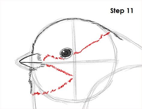 Chickadee Bird Drawing 11 How To Draw A Chickadee Step By Step, Chickadee Drawing, Skill Share, How To Draw Birds, Animal Tutorial, Draw Birds, Draw Lips, Drawing Birds, Chickadee Bird