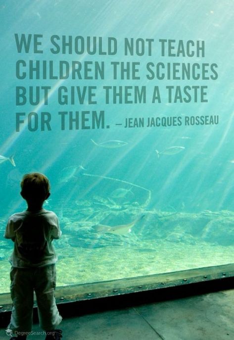 45 Education Quotes to Inspire You to Reach Your Academic & Life Goals Science Teacher Quotes, Educational Quotes, Science Quotes, Inspire Students, Inspirational Quotes With Images, Education Inspiration, Intelligence Quotes, Education Quotes For Teachers, Education Motivation