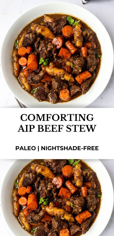 Aip Beef Chuck Roast, Aip Dinner Recipes Beef, Aip Beef Stew Instant Pot, Aip Beef Stir Fry, Aip Beef Stew Crockpot, Wahls Paleo Plus Recipes, Paleo Recipes For Families, Aip Shepards Pie, Aip Ground Beef Recipes Autoimmune Paleo