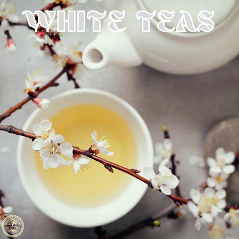 White Tea Aesthetic, White Smoothie, Benefits Of White Tea, White Tea Benefits, Tea Photography, Medicinal Tea, Asian Tea, Mate Tea, Tea Varieties