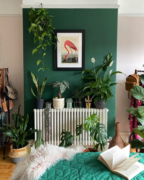 Dark green and blush pink bedroom with plants and flamingo print artwork. #greendecor #chimneybreast #statementwall #houseplants #plants #bedroomdecor #decorideas #greenandpink #audobon #flamingo #interiordesignideas Green Monochromatic Room, Green Monochromatic, The Dumping Ground, 2020 Bedroom, Scandinavian Eclectic, Monochromatic Room, Deco Jungle, Closet And Bathroom, Boho Scandinavian