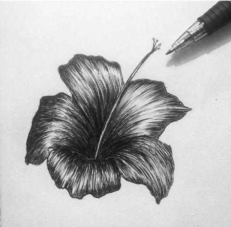 Flower pen drawing black biro Flower Pen Drawing, Observational Drawings, Biro Drawing, Biro Art, Gcse Art Sketchbook, Flower Pens, Observational Drawing, Pen Drawings, Nature Sketch