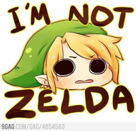 I used to call him Zelda when I was little - Link's permanent trauma Link Funny, Ben Drowned, Link Zelda, The Legend Of Zelda, Super Smash Bros, The Villain, Fire Emblem, Legend Of Zelda, Cute Shirts