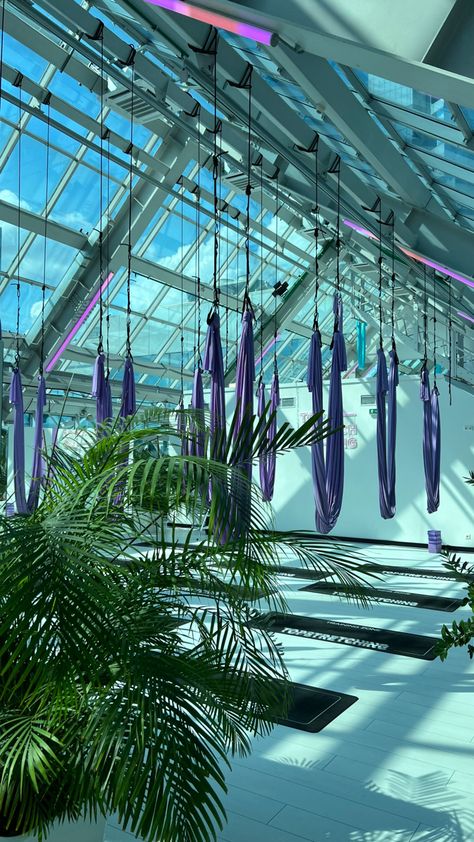 Aerial Yoga Studio Interior, Air Yoga Aesthetic, Aerial Studio Design, Stretching Aesthetic Photo, Ariel Yoga Aesthetic, Aerial Yoga Studio Design, Aerial Yoga Aesthetic, Aerial Yoga Studio, Dance Studio Aesthetic