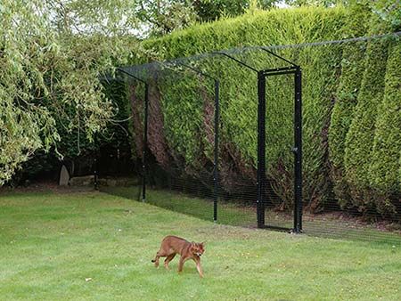 Katt Hus, Garden Enclosure, Diy Cat Enclosure, Katt Diy, Cat Gate, Kat Diy, Chat Diy, Cat Enclosures, Cat Fence