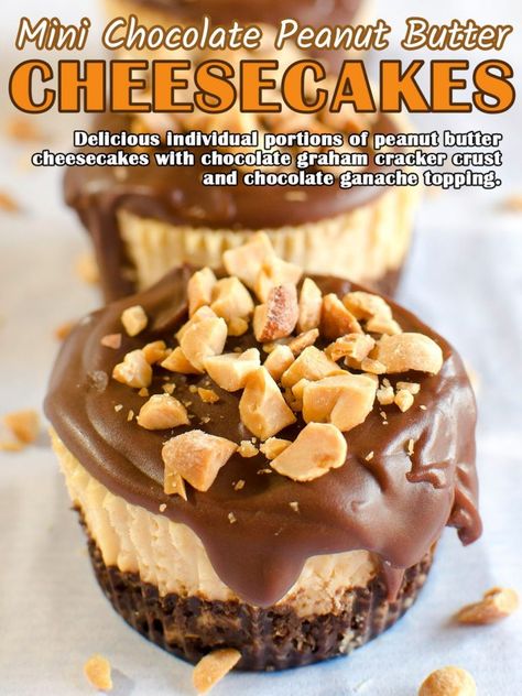 Best Mini Cheesecake Recipes, Refrigerated Desserts, Mini Cherry Cheesecakes, Homemade Cheesecake Recipes, Recipes To Bake, Mini Lemon Cheesecakes, Chocolate Graham Cracker Crust, Fruit Cheesecake, Mini Pumpkin Cheesecake