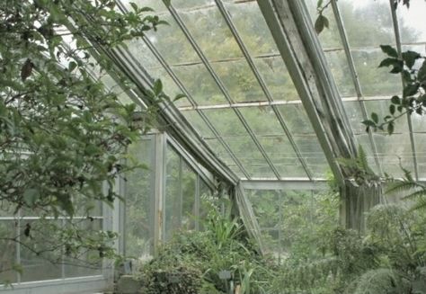 Botanist Aesthetic, Green Academia, Lots Of Plants, Dark Naturalism, Rain Aesthetic, Room Styles, Plant Aesthetic, It's Raining, Green House