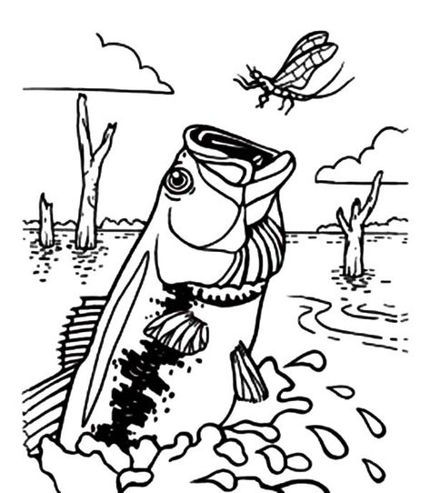 Bass Fish Catching Dragonfly Coloring Pages : Best Place to Color Bass Coloring Pages, Fishing Coloring Pages, Bass Fishing Pictures, Fish Printables, Fish Coloring, Wood Burning Stencils, Shark Drawing, Fish Coloring Page, Coloring Pages Inspirational