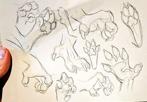 Werewolf paw anthro hands Werewolf Hands Drawing, Neck Fluff Drawing, Dragon Paws Reference, How To Draw Anthro Paws, Paw Art Reference, Anthro Paws Reference, Paws Reference Drawing, Anthro Poses Reference, Anthro Hands