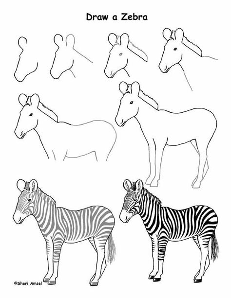 Zebra step by step drawing Trin For Trin Tegning, Zebra Drawing, African Drawings, Zebra Painting, Zebra Art, Animal Drawings Sketches, Draw Animals, Easy Drawings For Kids, Animal Sketches