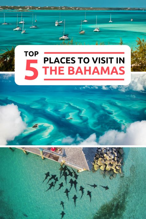 Where to go in the Bahamas? Best place to go in the Bahamas? Read our Bahamas Travel Guide to the top 5 places to visit in Bahamas. With amazing Bahamas Landmarks and Bahamas Tourist Attractions. Our top 5 things to do in Bahamas include the Best Beaches, Bahamas Pigs, Exuma and Staniel Cay. For the best Bahamas Honeymoon consider a Bahamas Day Trip or Island hopping tour from Florida with Bahamas Air Tours. Bahamas Eleuthera, Bahamas Pigs, Bahamas Travel Guide, Bahamas Honeymoon, Exuma Bahamas, Atlantis Bahamas, Historic Landmarks, Bahamas Travel, Bahamas Vacation