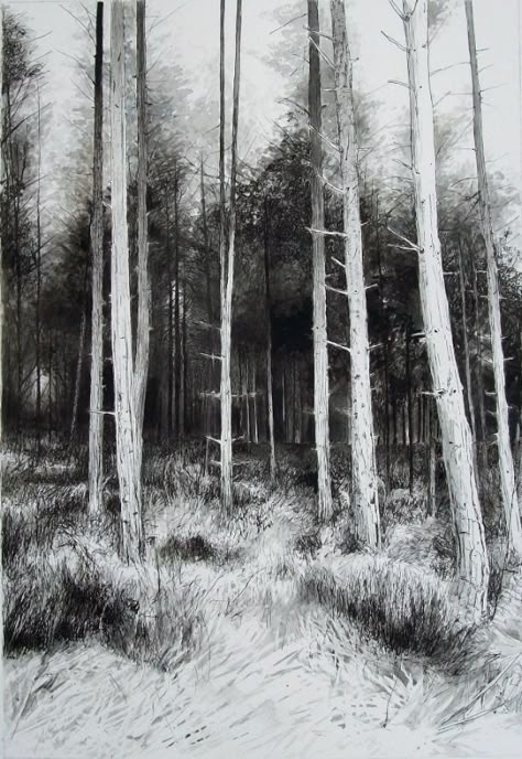 "Entrance", ink drawing of a forest by Mark Lippett.  #trees #forest #inkdrawing #blackandwhite Drawing Of A Forest, Pencil Drawings Of Nature, Pencil Drawings Of Love, Forest Sketch, Forest Drawing, Pencil Drawings Of Girls, Tree Drawings Pencil, Pencil Drawings Of Animals, Forest Background