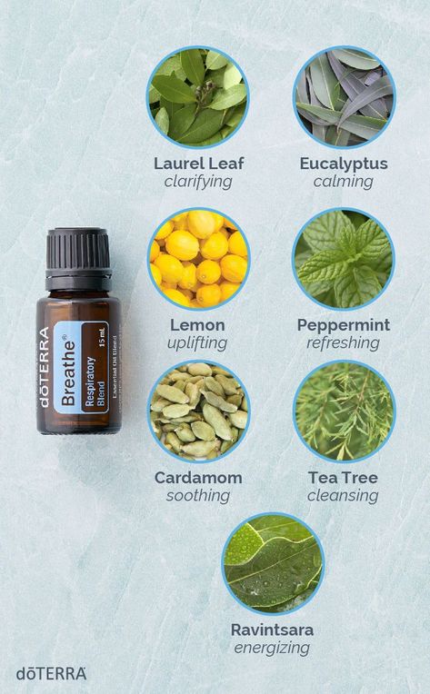 Diy Breathe Essential Oil Blend, Breathe Doterra, Breathe Essential Oil, Essential Oils For Breathing, Doterra Breathe, Doterra Blends, Do Terra, Esential Oils, Doterra Essential Oils Recipes