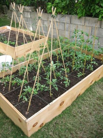 A word about the Square Foot Gardening Technique | GoGrow: Barbados Gardening Basics, Diy Trellis, Gardening Techniques, Veg Garden, Square Foot Gardening, Garden Boxes, Garden Trellis, Veggie Garden, Edible Garden