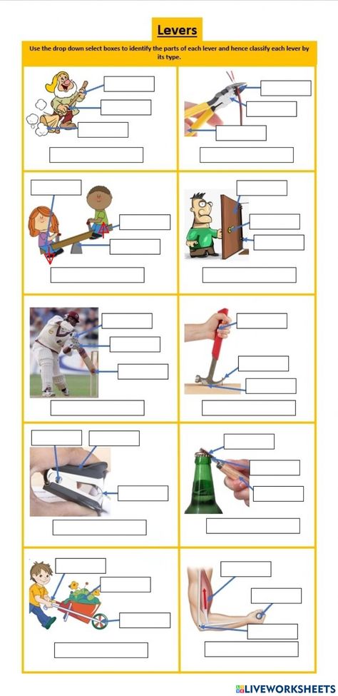 States Of Matter Worksheet, Matter Worksheets, States Of Matter, Force And Motion, Renewable Sources Of Energy, Simple Machines, Creative Teaching, School Subjects, Online Workouts