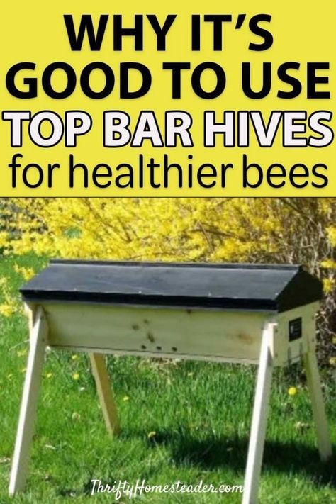 Here is why you should use top bar hives as part of your beekeeping. Doing so promotes natural bee keeping which is much healthier for bees. Read the post to learn why. #beekeeping #bees #homestead #homesteading #homesteadingforbeginners How To Start Beekeeping, Top Bar Bee Hive, Top Bar Hive, Bee Hive Plans, Backyard Bee, Beekeeping For Beginners, Raising Bees, Backyard Beekeeping, Honey Bee Hives