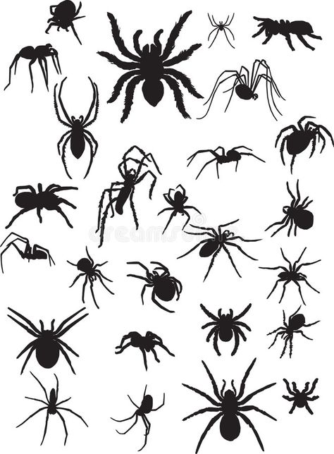 Spider Vector Illustrations, Spiders Illustration, Spider Vector, Spider Icon, Spider Web Drawing, Random Tattoos, Types Of Spiders, Spider Illustration, Spider Drawing