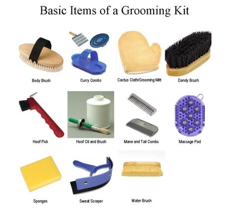 Basic grooming kit Grooming Kits For Horses, Grooming Kit Horse, Horse Grooming Tips, Stable Management, Horse Grooming Supplies, Horse Grooming Kit, Clinton Anderson, Horse Brushes, Horse Information