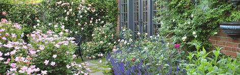 Her Roses Grow Like Gangbusters Garden Header, Backyard Rose Garden, Fence With Lattice Top, Garden Paradise, Lattice Fence, Cottage Aesthetic, Shrub Roses, Stone Path, Growing Roses